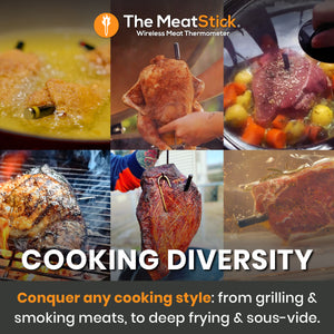 Explore Endless Culinary Possibilities with Classic MeatStick: Master every cooking method, from grilling and smoking to deep frying and sous-vide, with ease.