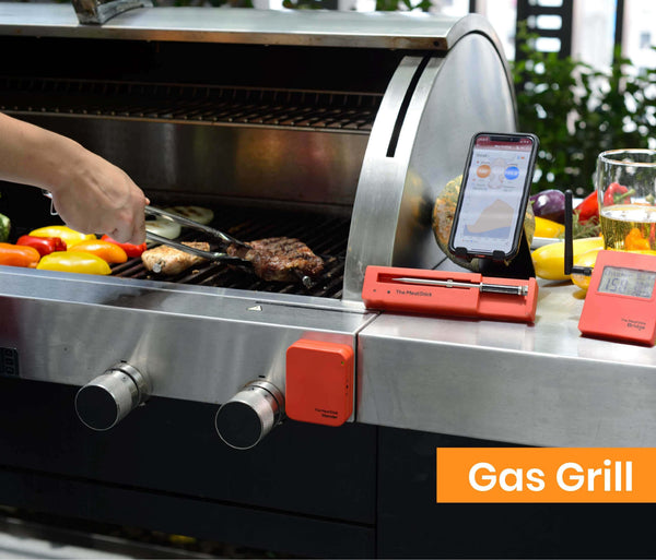 Gas Grill with The MeatStick Extender Set