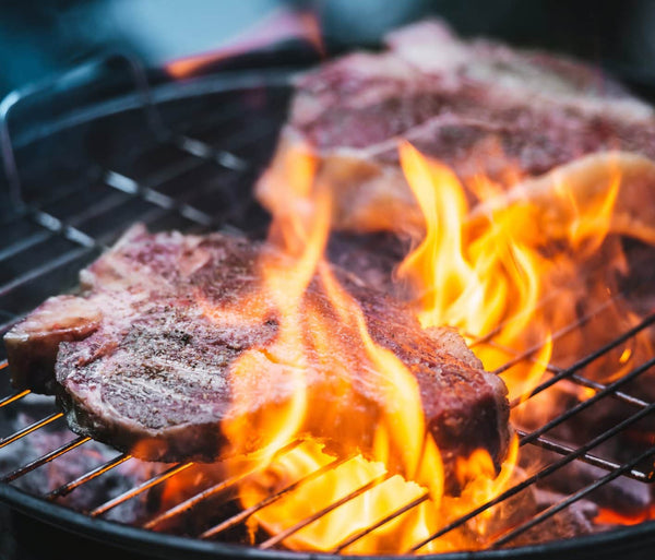 2 Meat Cuts on a Grill touching the flames