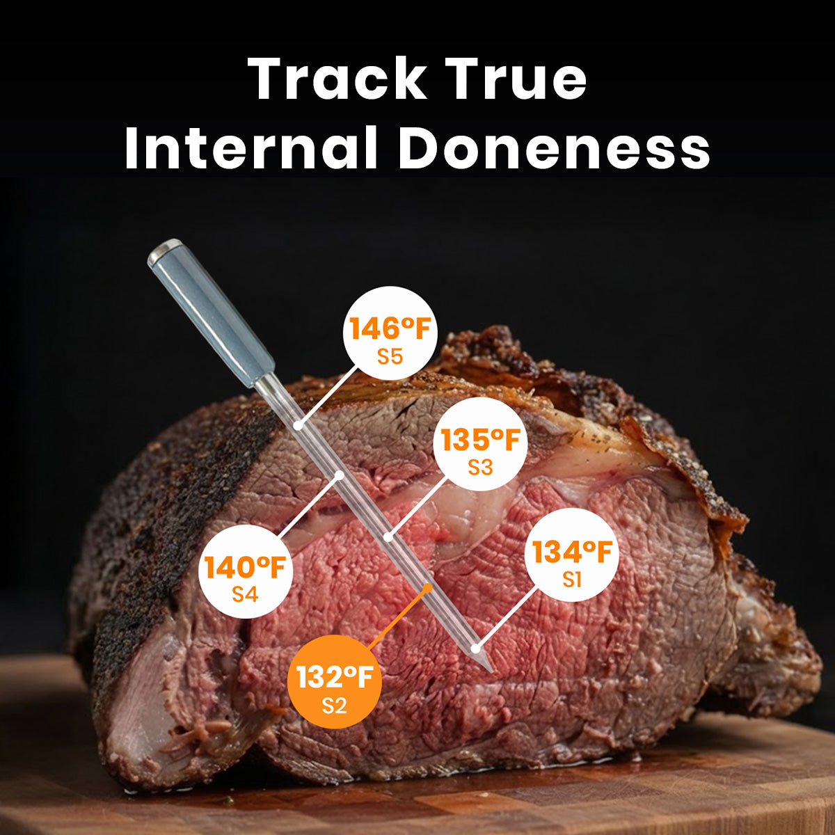 MeatStick V Core - image 2