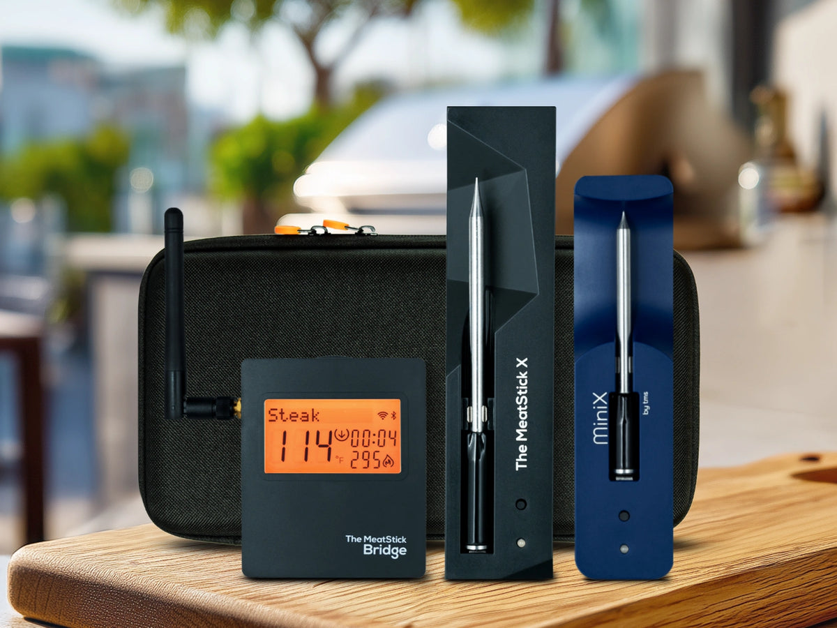 MeatStick X and MiniX WiFi Bundle