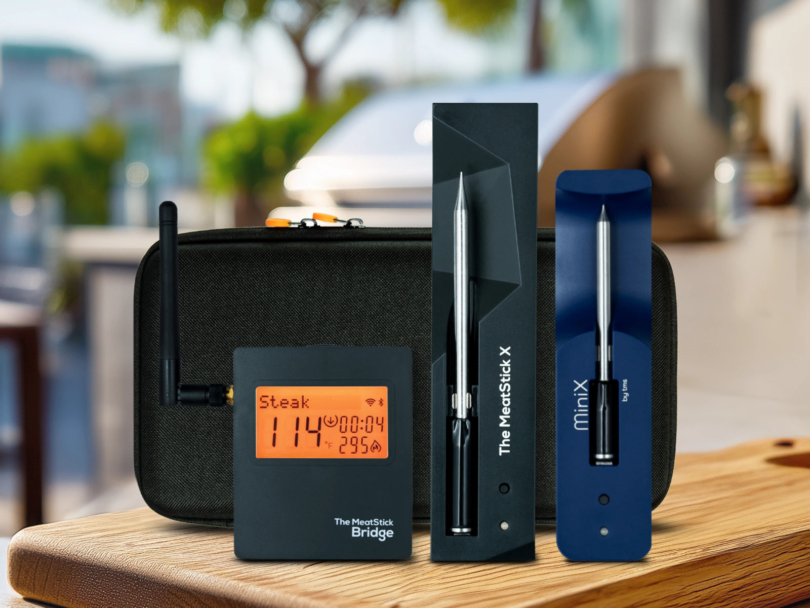 MeatStick X and MiniX WiFi Bundle