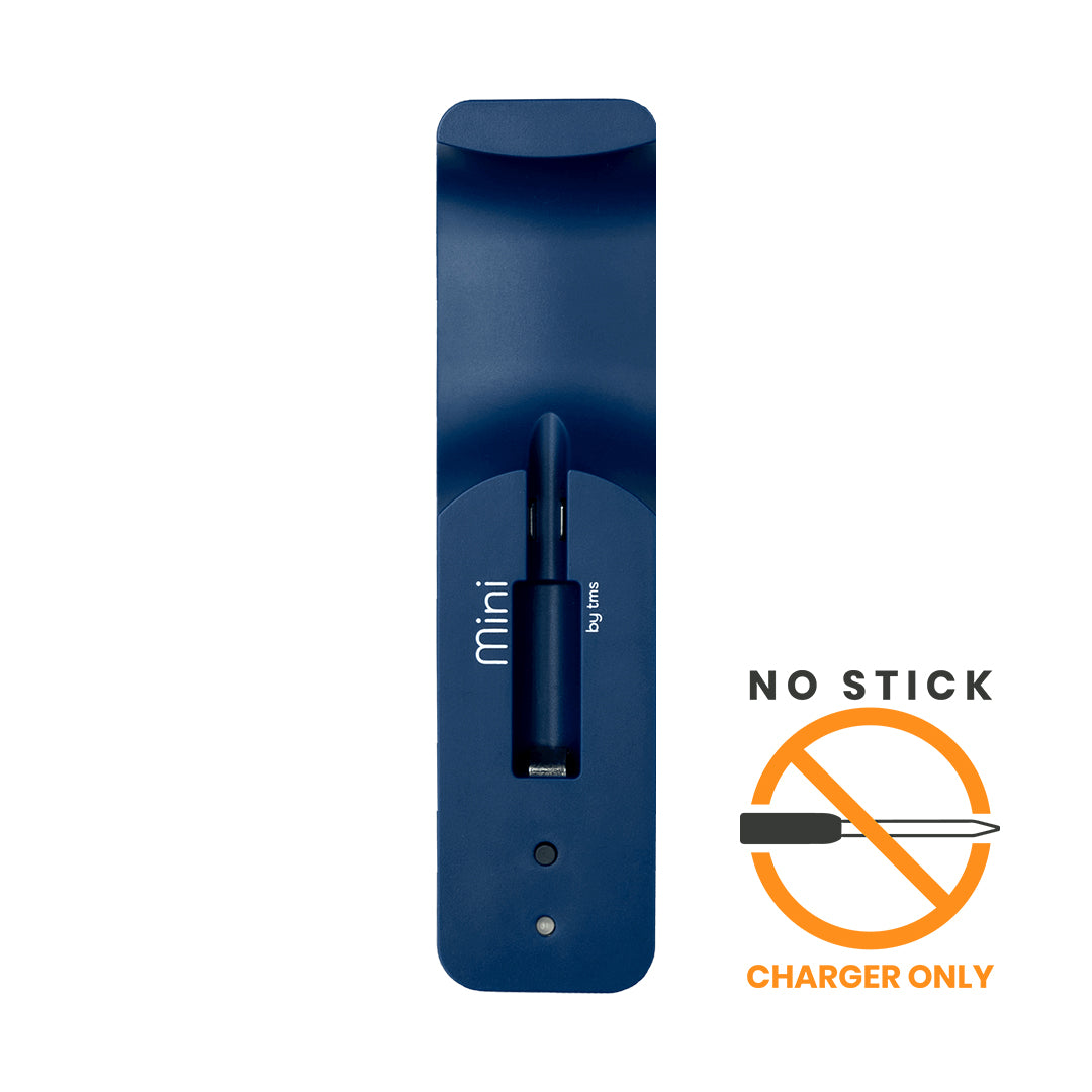 Mini/MiniX Charger