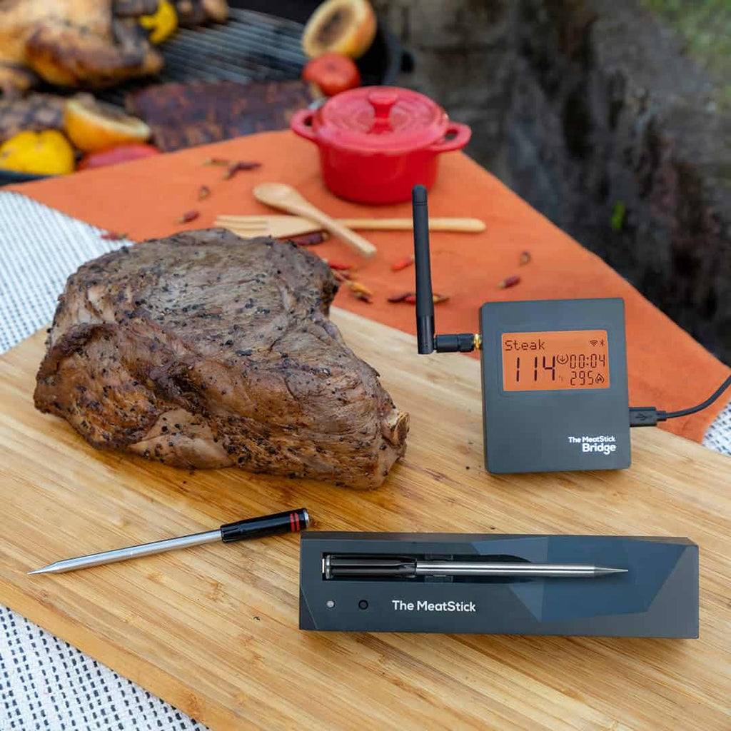 The MeatStick 4X Wireless Thermometer – BEER-N-BBQ by Larry
